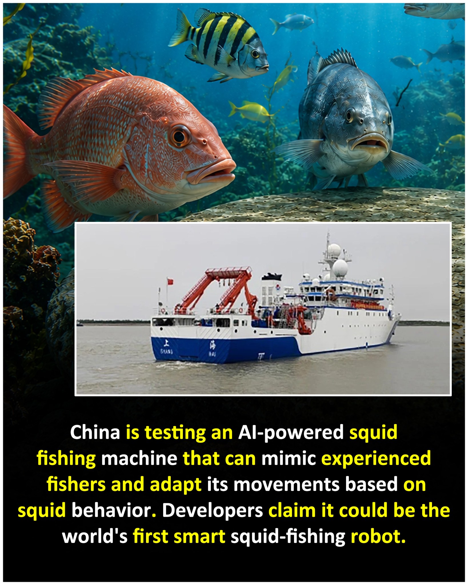 China is testing an intelligent squid-fishing machine that uses 