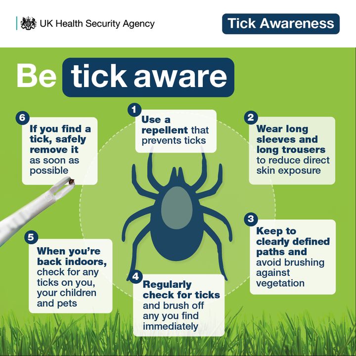 Engleton - Lyme disease is a serious infection passed on by ticks ...