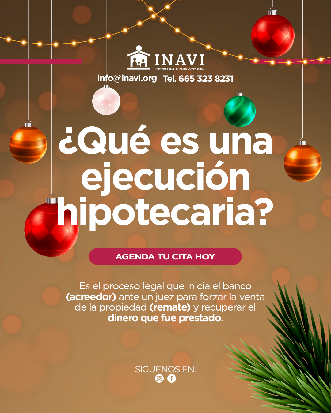 INAVI