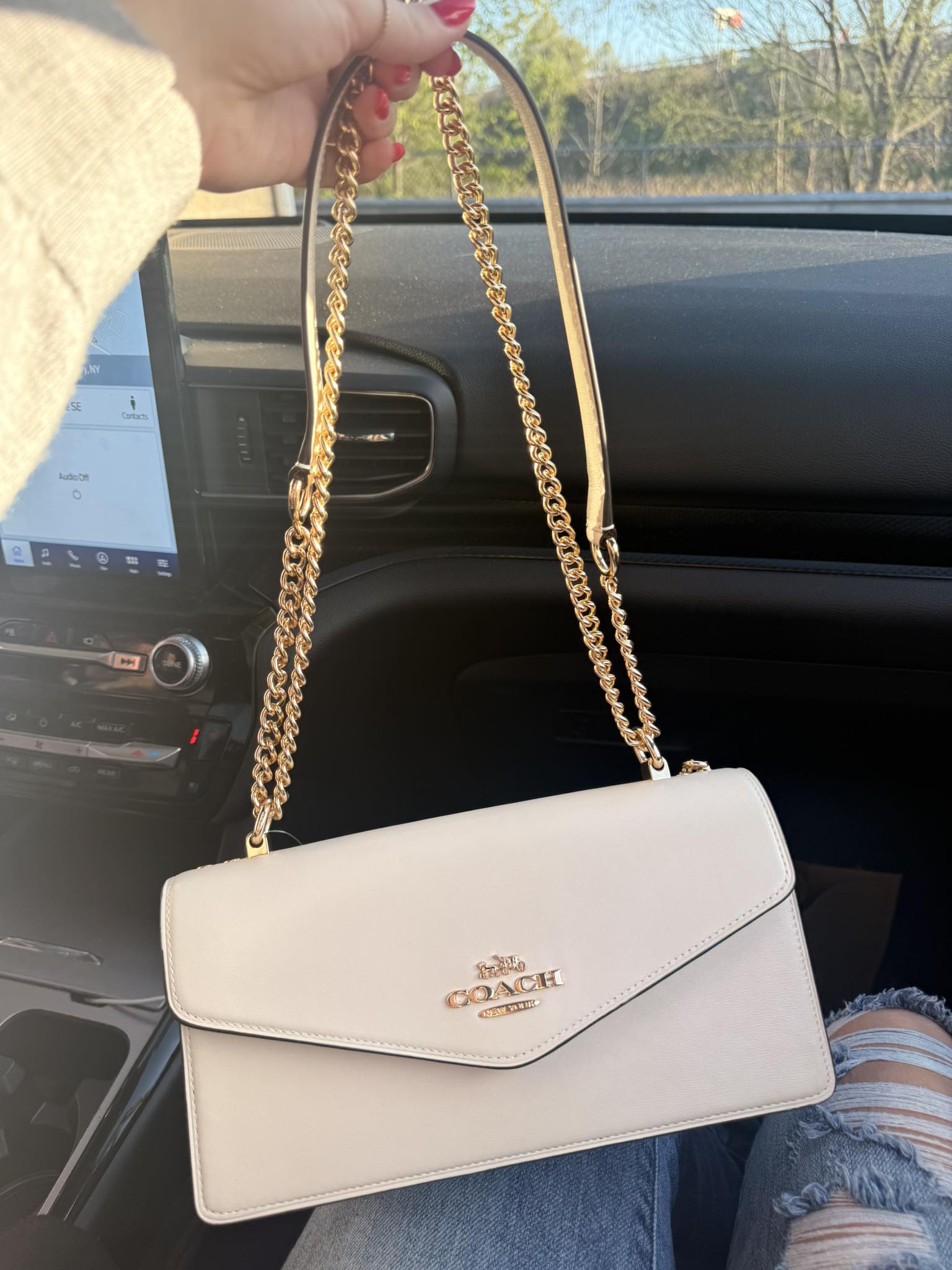 Coach Hobo Bag KRISTIN Chain Link Op Art