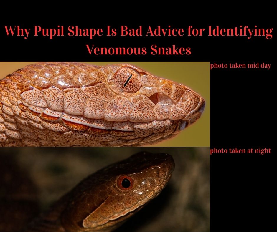 DrewWild - Share this to Help Spread the Truth. One of the most common ...