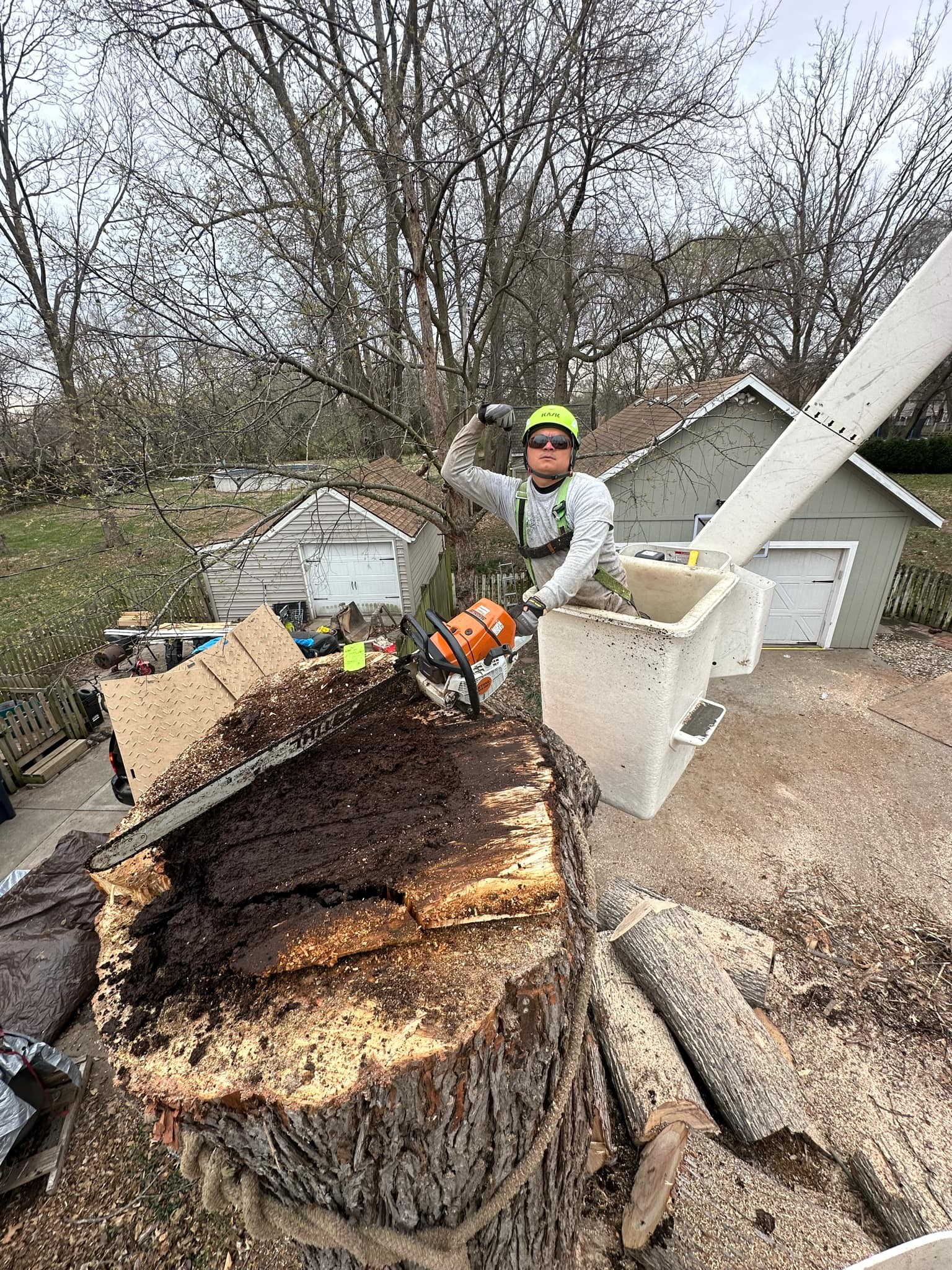First Class Tree Services LLC | Kansas City MO