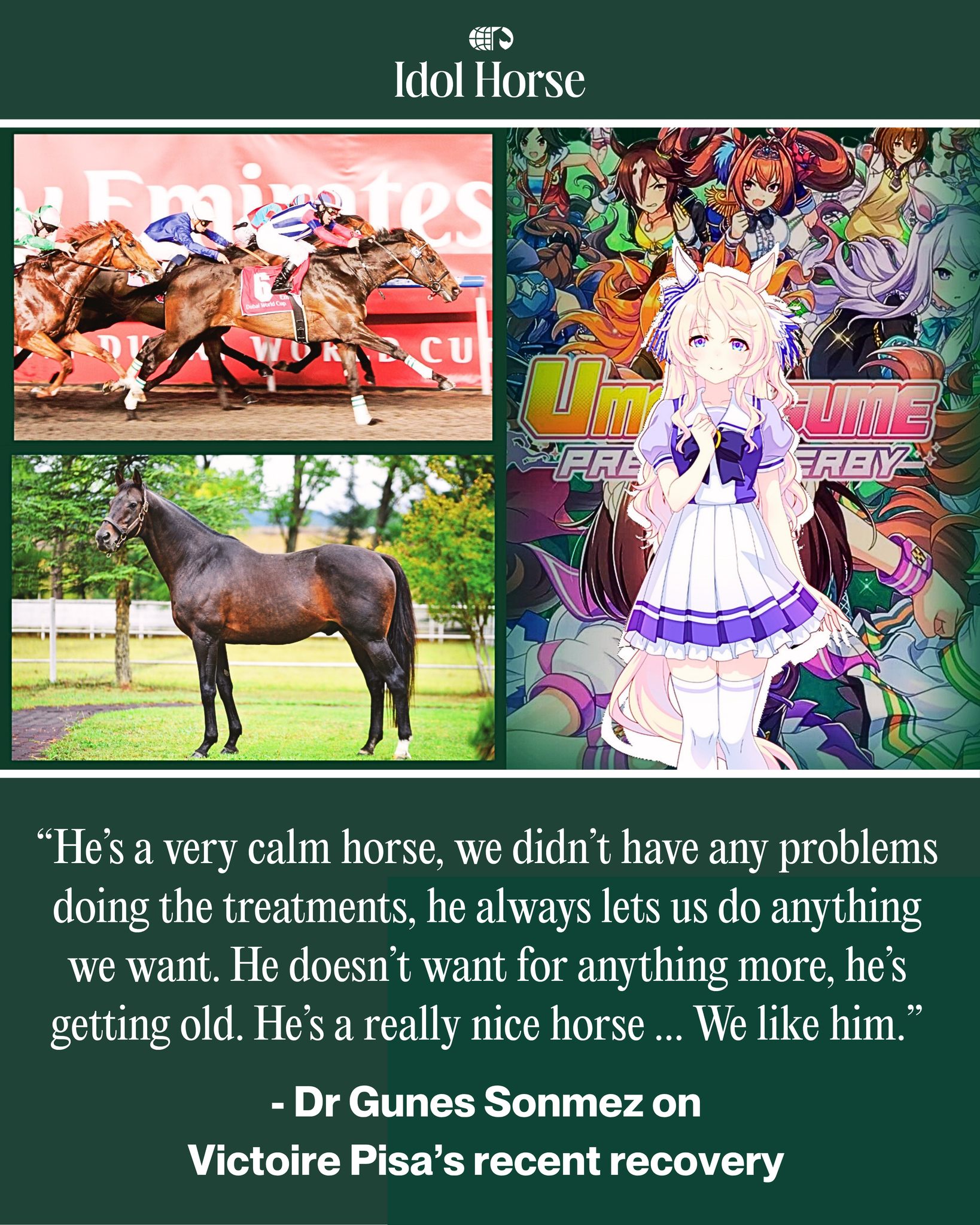 Japan's first Dubai World Cup winner Victoire Pisa sired the