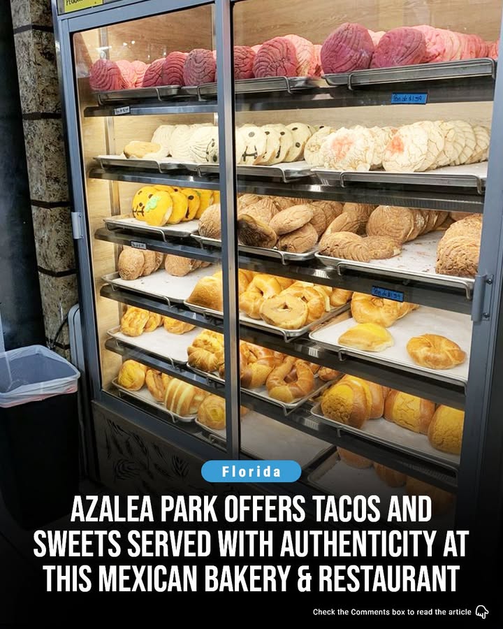 Florida - Azalea Park, FL 📍 Check it out: https://mylocalnooks.com ...