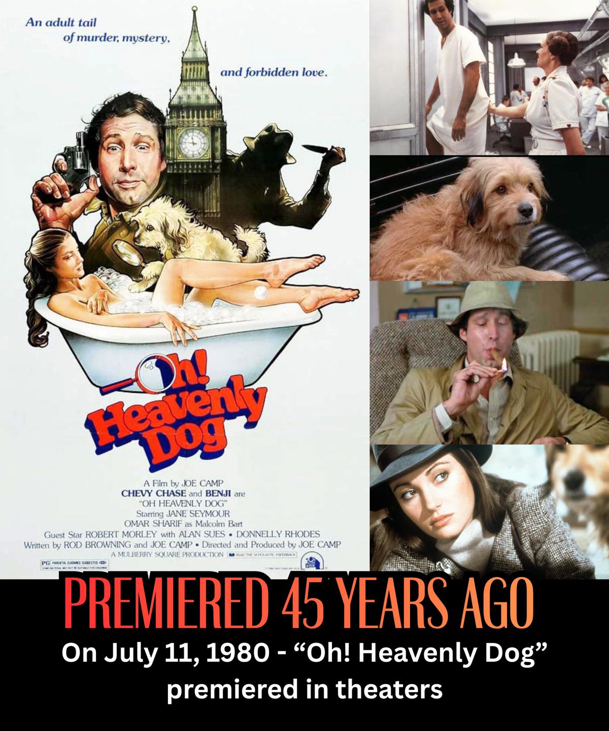 Have you seen Oh Heavenly Dog, a comedy detective film?