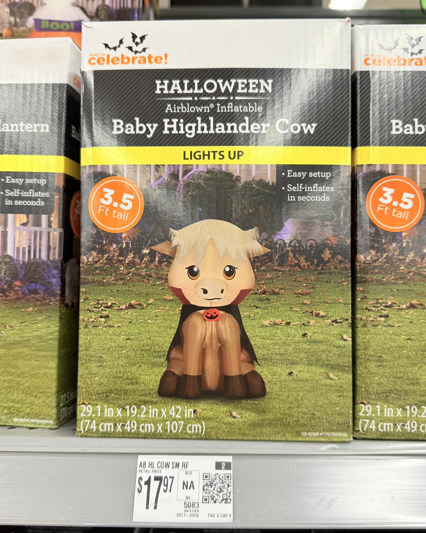 Let’s - a spooky highland cow inflatable! ☺️🐮🧛 new at walmart! # ...
