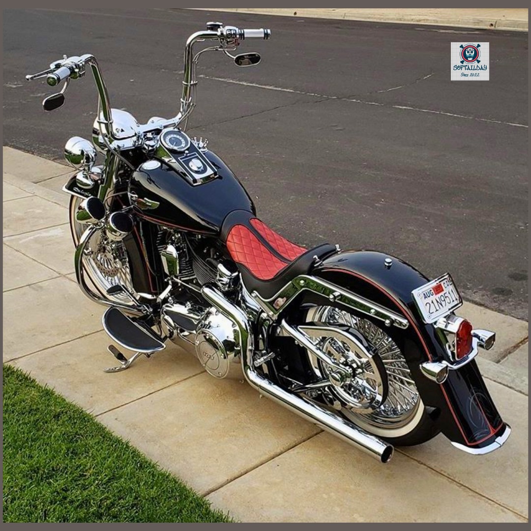 Harley-Davidson Street 750 🖤 built by Kaichiroh Kurosu of