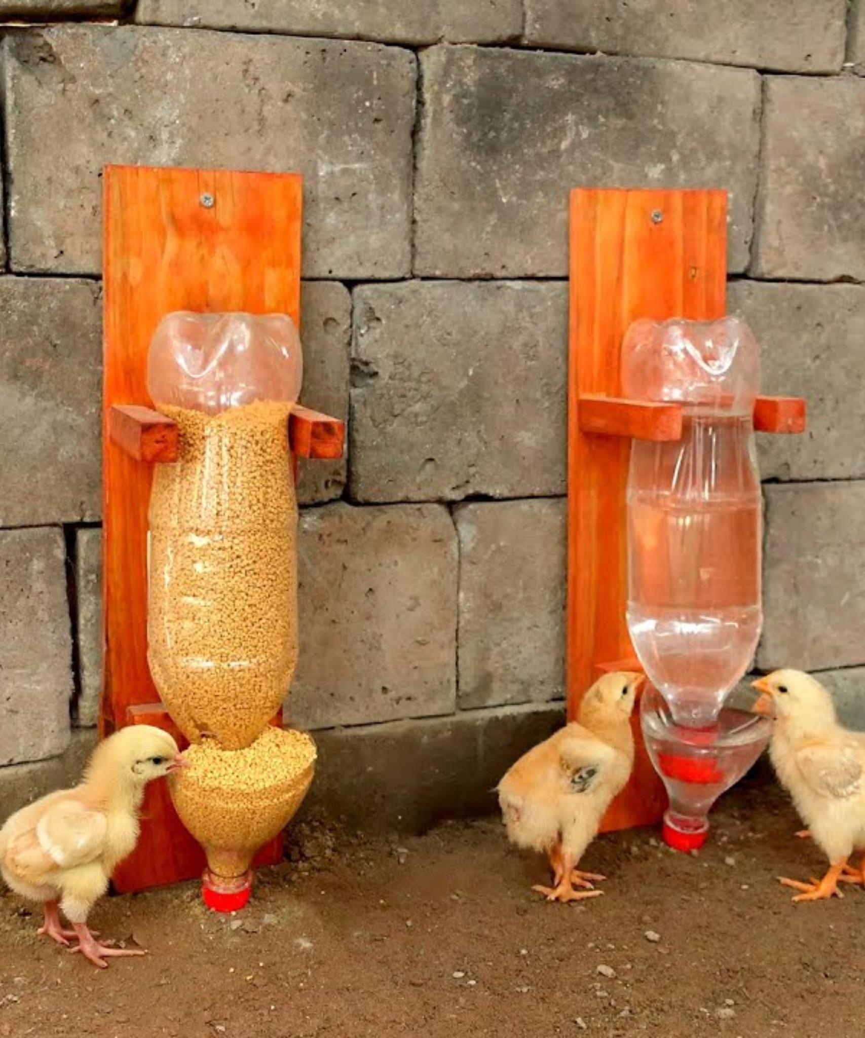 Mangeoire Et Abreuvoir Pour Poules 1,1L - Distributeur Automatique Sans Gaspillage Pour Poulets, Poussins Et Volaille