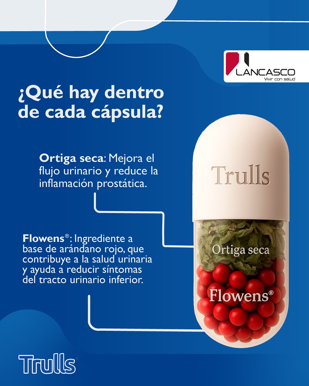 Trulls