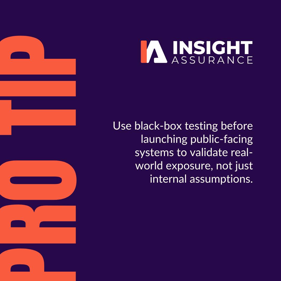 Insight - 💼 Pro Tip Use black-box testing before launching new public ...