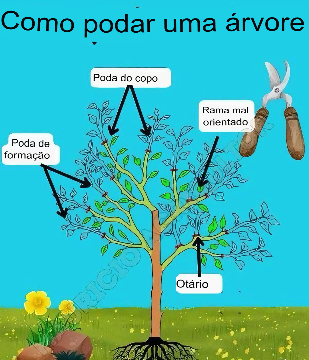 Segredos - O que é a poda e por que é importante? ️🌳 A poda é uma ...