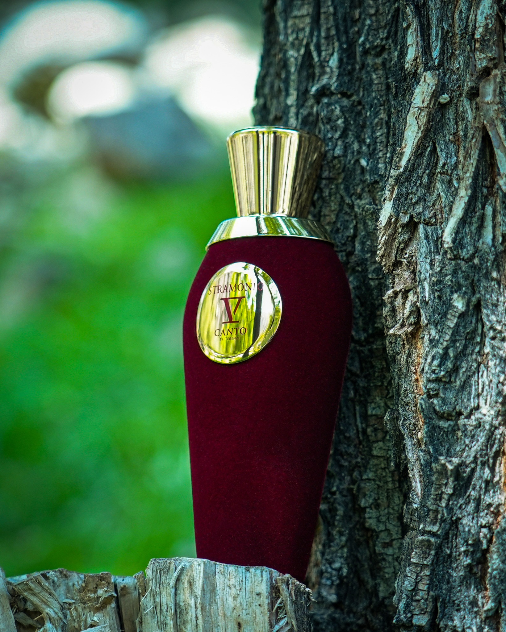 Stramonio by V Canto is a fragrance for women ?? and men 