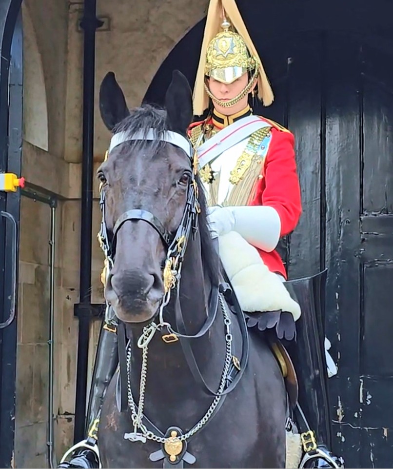Kings - Magnificent Looks of Kings Horse and Guard | Buckingham Palace ...