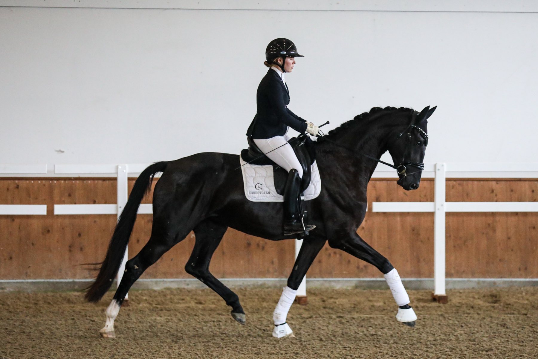 Wow - 10 for canter!! Back home from a well organized FIZO at