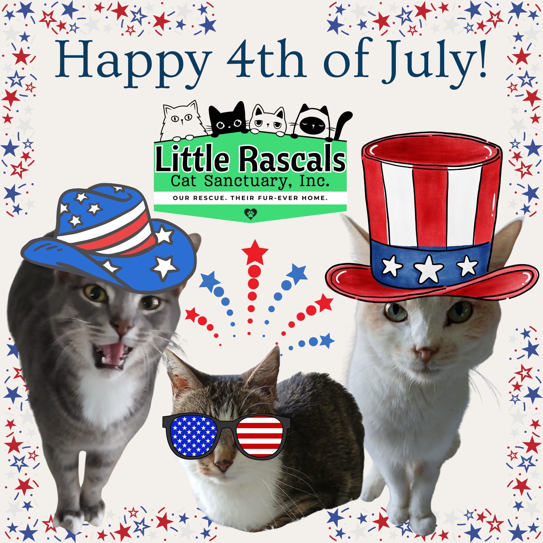 Happy 4th of July... - Little Rascals Cat Sanctuary, Inc. | Facebook