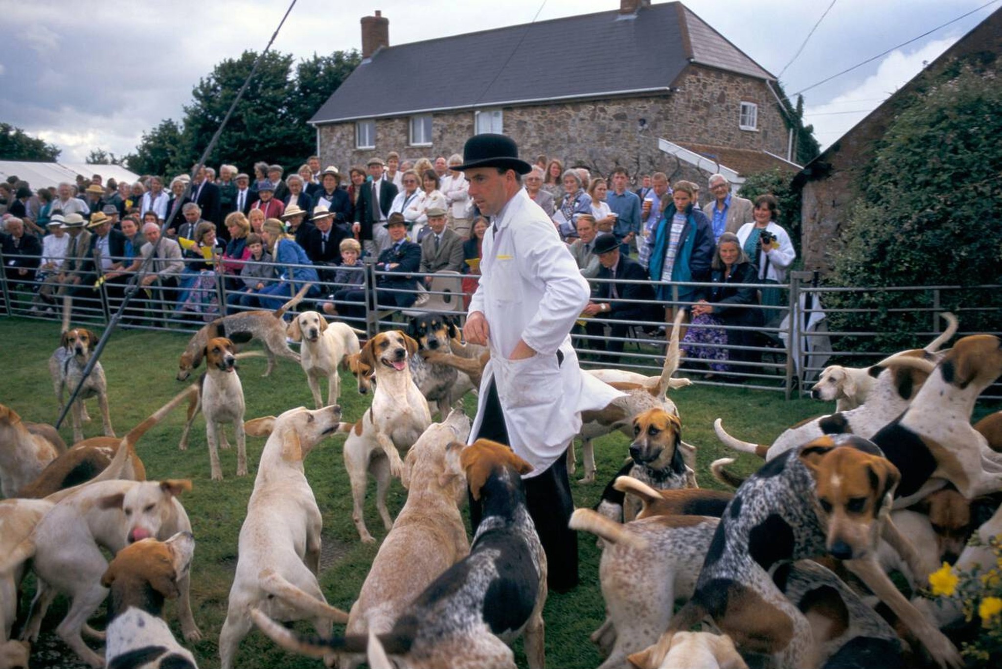 Britain's - The Quantock Hounds: Is This a Noble Sight, or a Tradition ...