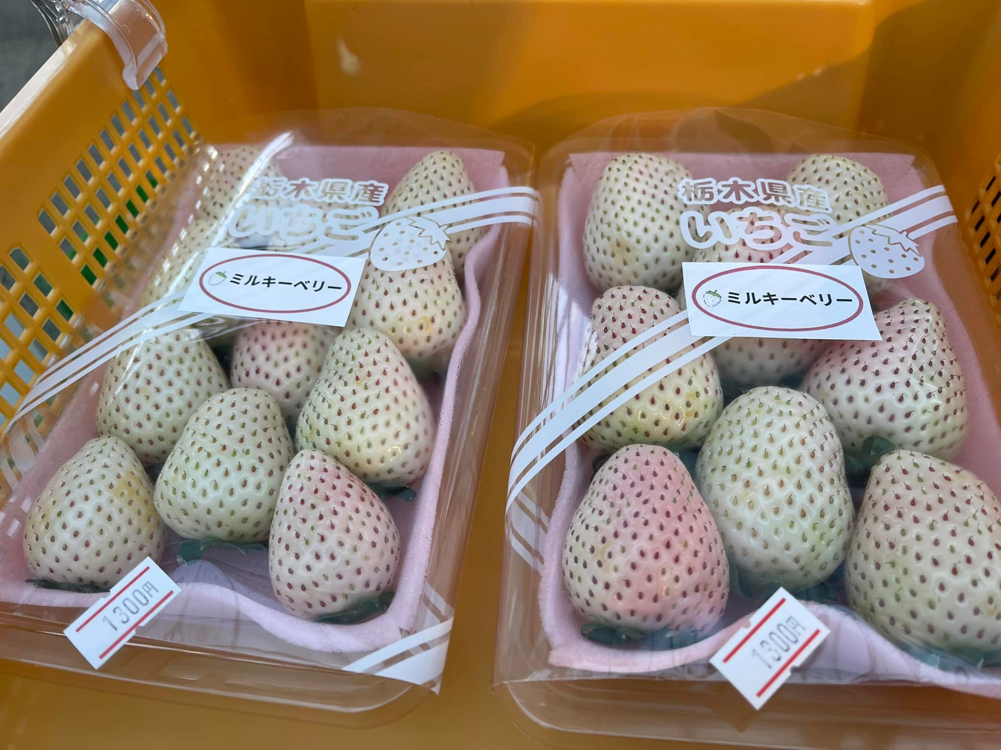 Nikko Hana Ichi Momme Japan, these strawberries are white !