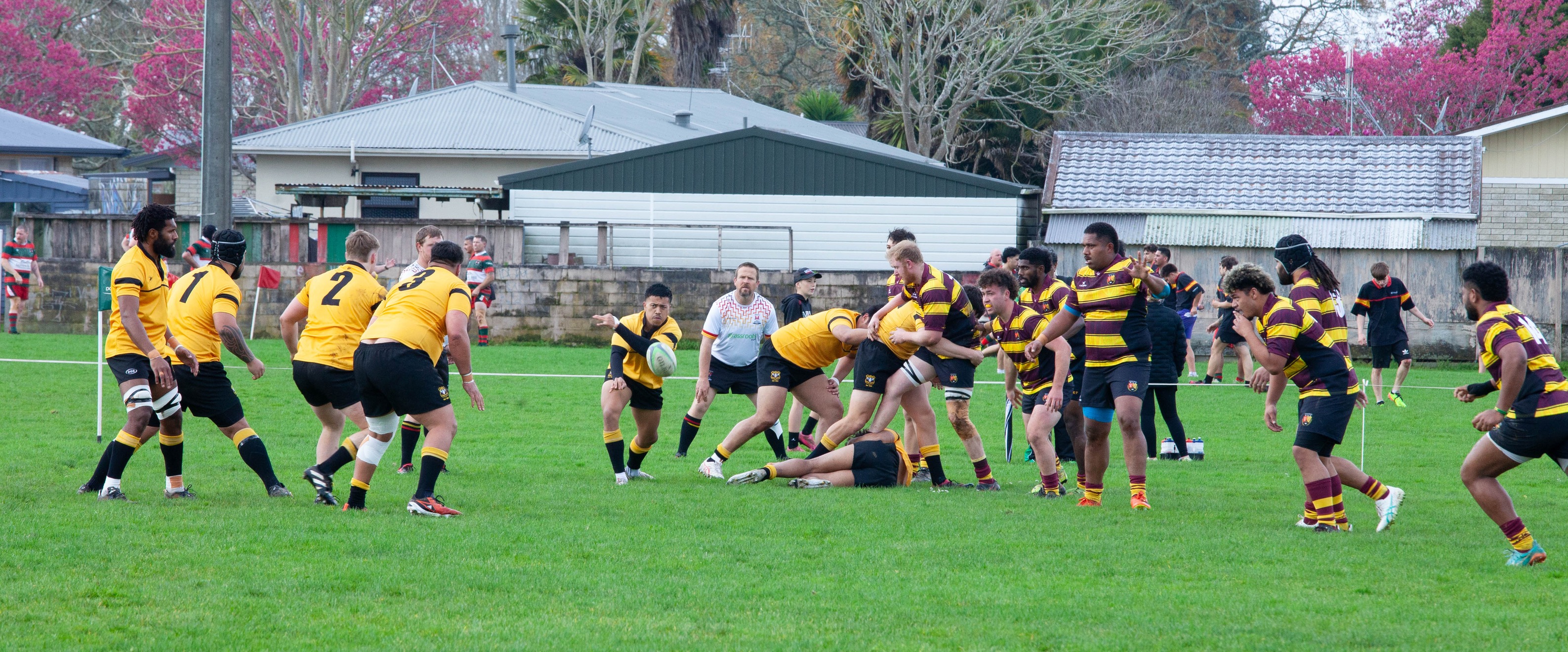 Te Awamutu Senior Rugby Sub-Union | Te Awamutu
