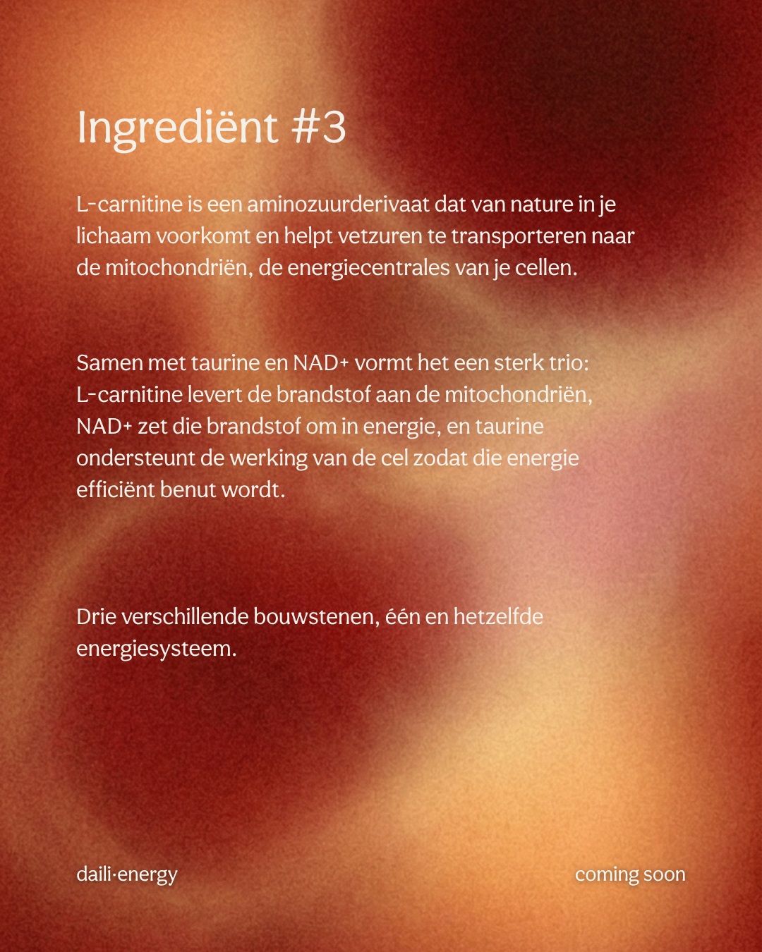 Het 3e ingrediënt van Daili Energy: L-carnitine ⚡️ L-carnitine is een aminozuur dat een rol speelt bij de energieproductie in het lichaam. 🔋 Benieuwd wat L-carnitine nog meer doet en waarom het
