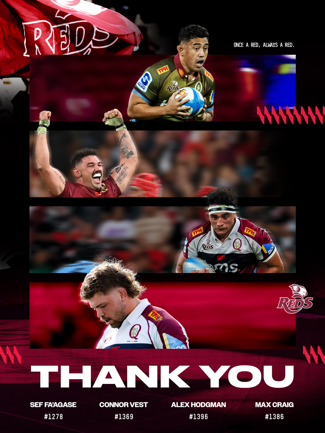 Queensland - Once a Red, always a Red 🐨 The Queensland Rugby Union ...