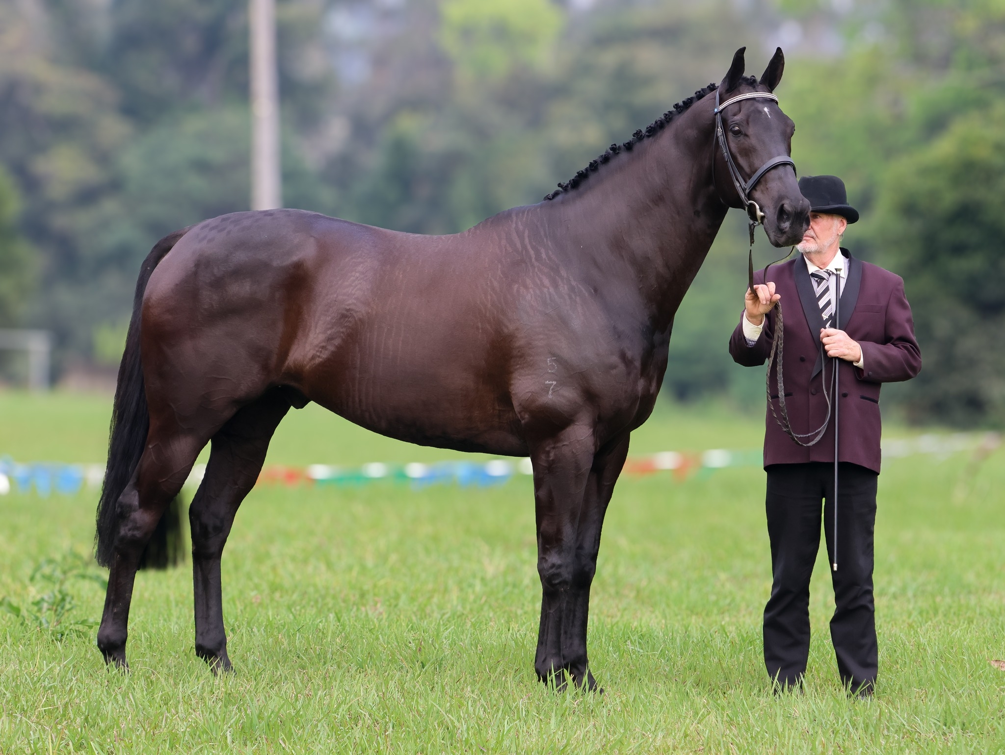 Nambucca Valley Equitation Club | the NVEC would like to thank the ...