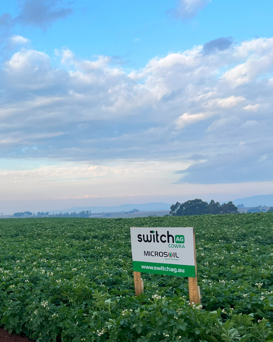 Switch Ag | Cowra NSW