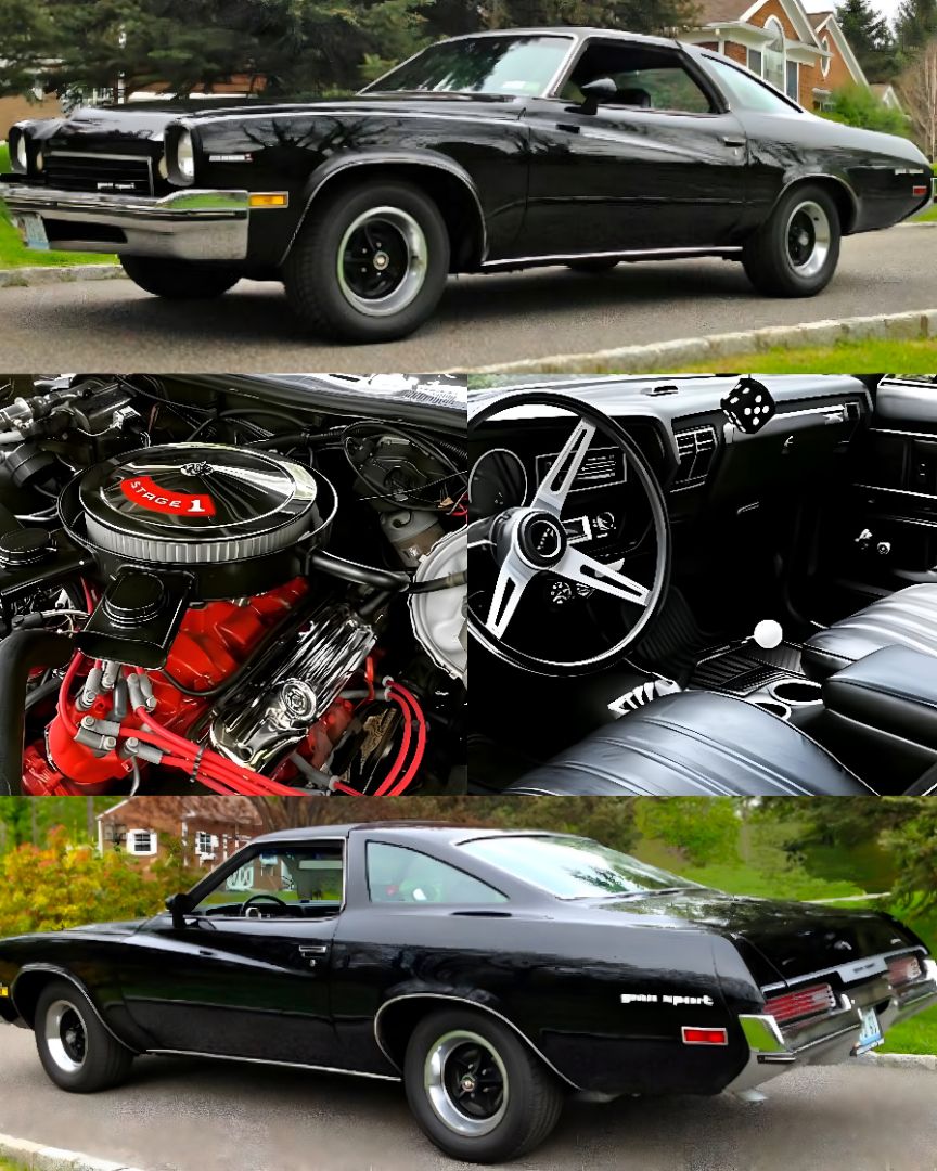 1973 Buick Century Gran Sport Stage 1: rare big-block muscle car