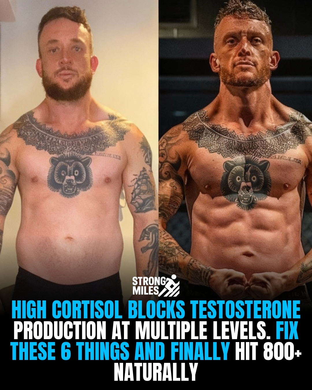 Strong Miles - Chronic stress and high cortisol act as a... | Facebook