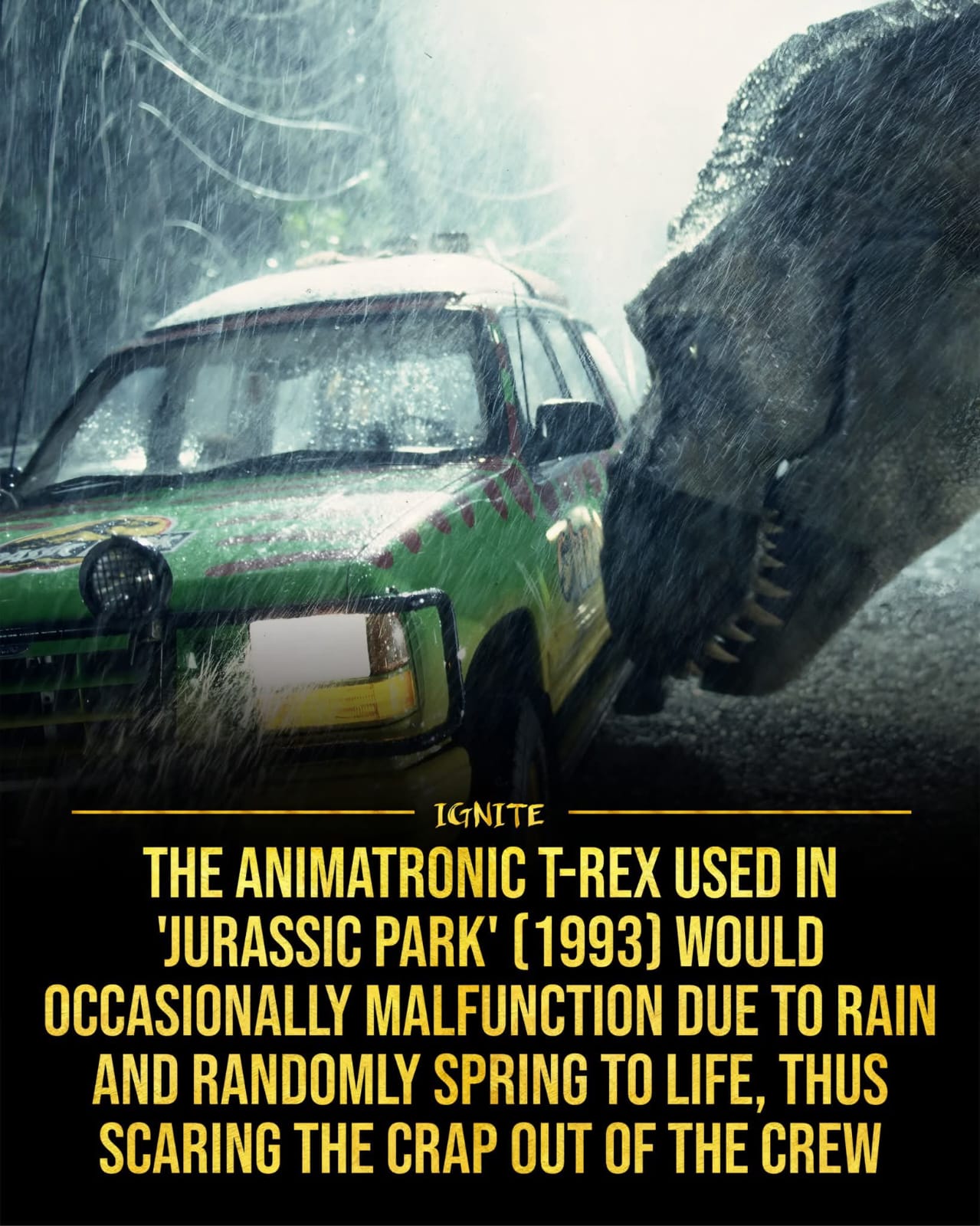 Weird, Strange and Interesting Things | 🦖 The terrifying T-Rex from ...
