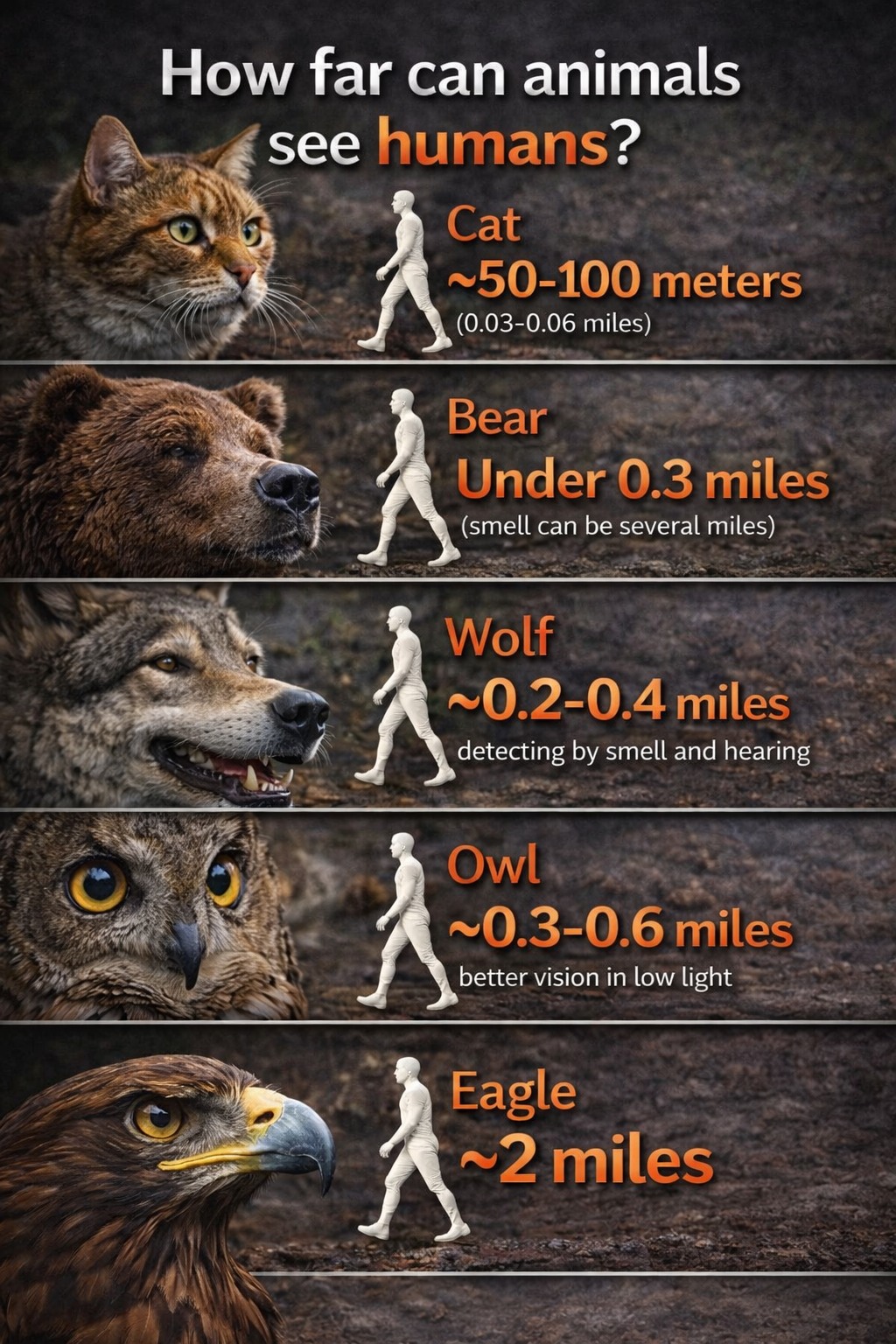 Green - How Far Can Animals See Humans? Understanding Wildlife ...