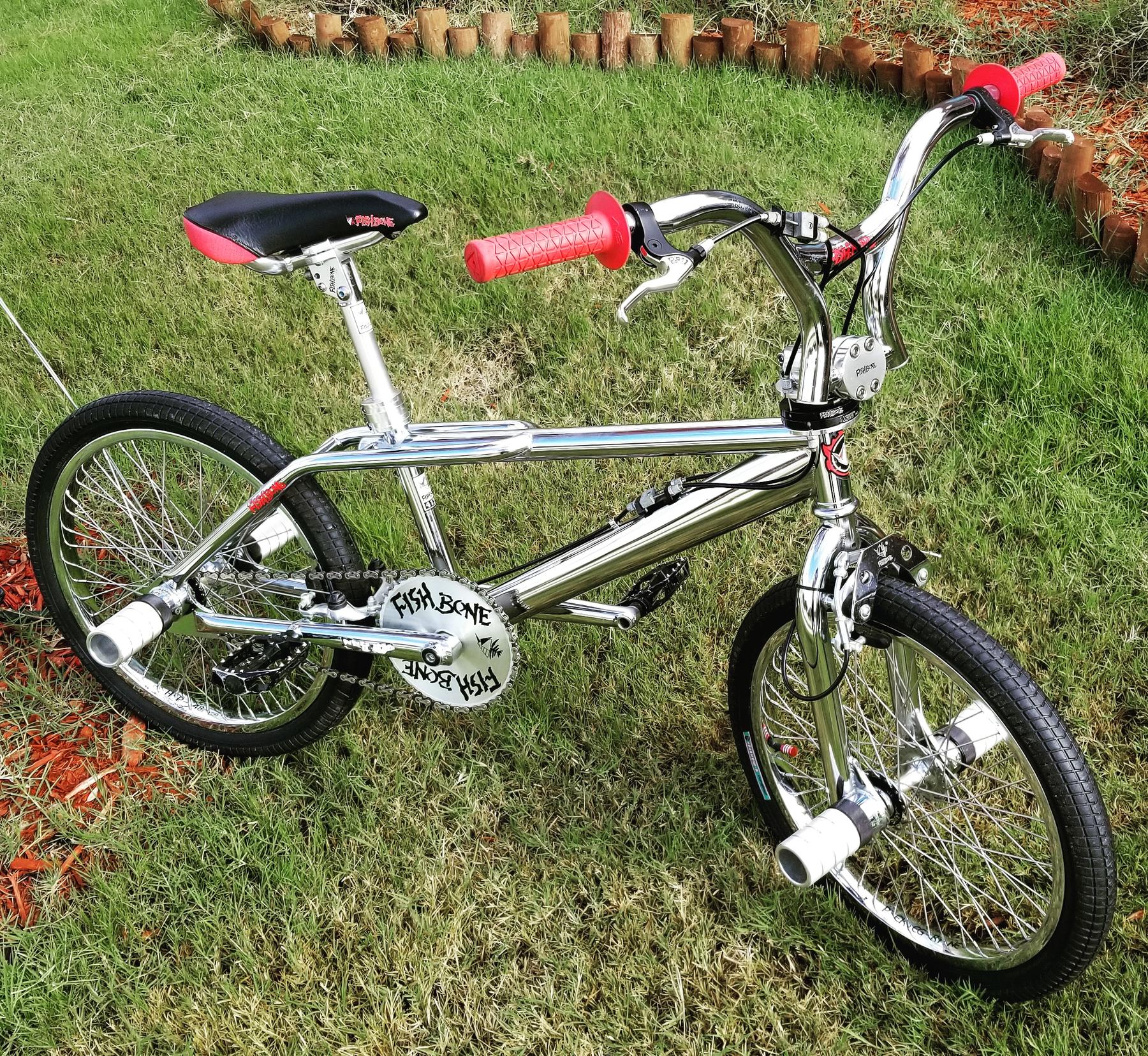 1997 Fishbone big ass mid-school BMX bike