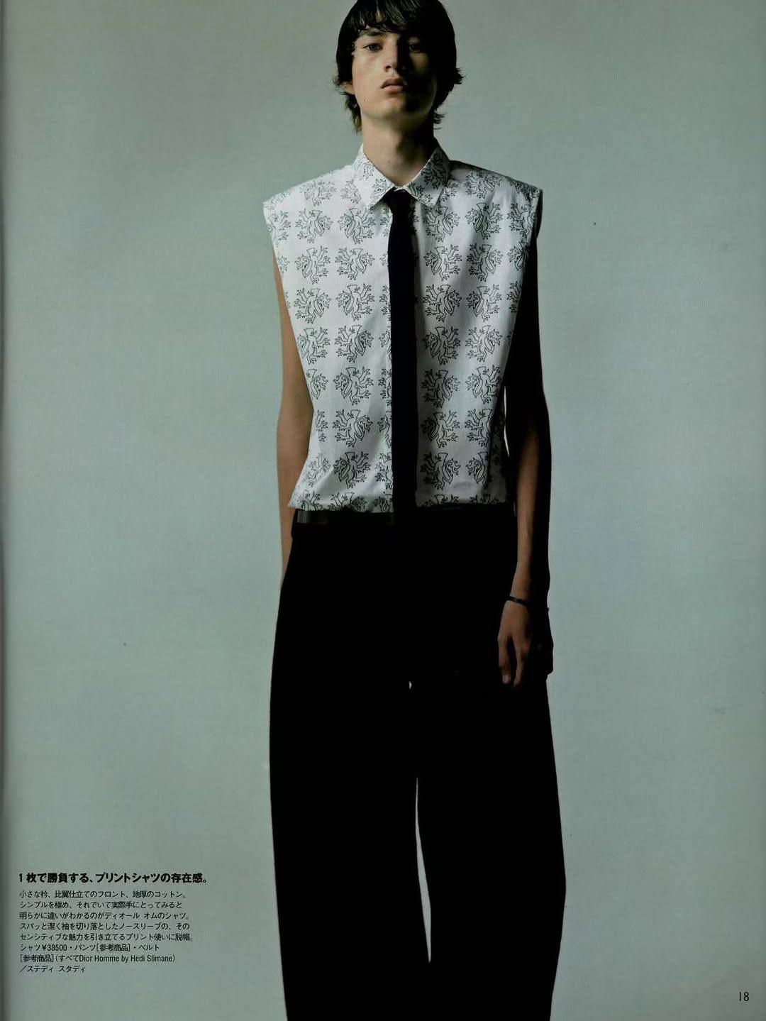 dior homme by hedi slimane