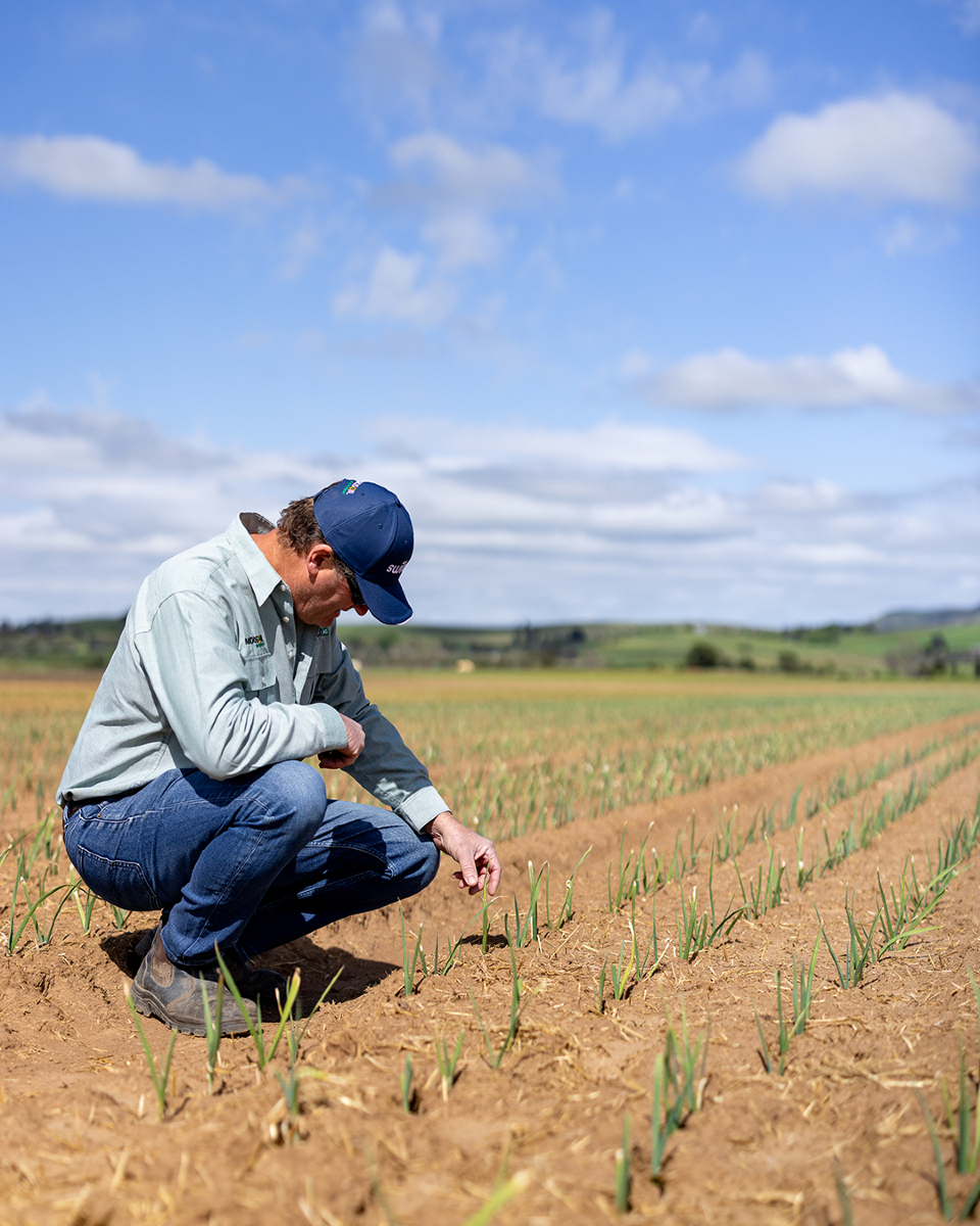 Switch Ag | Cowra NSW