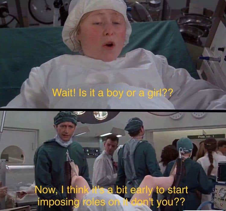 POLITICALLY INCORRECT MEMES FLORIDA | This was a Monty Python skit ...
