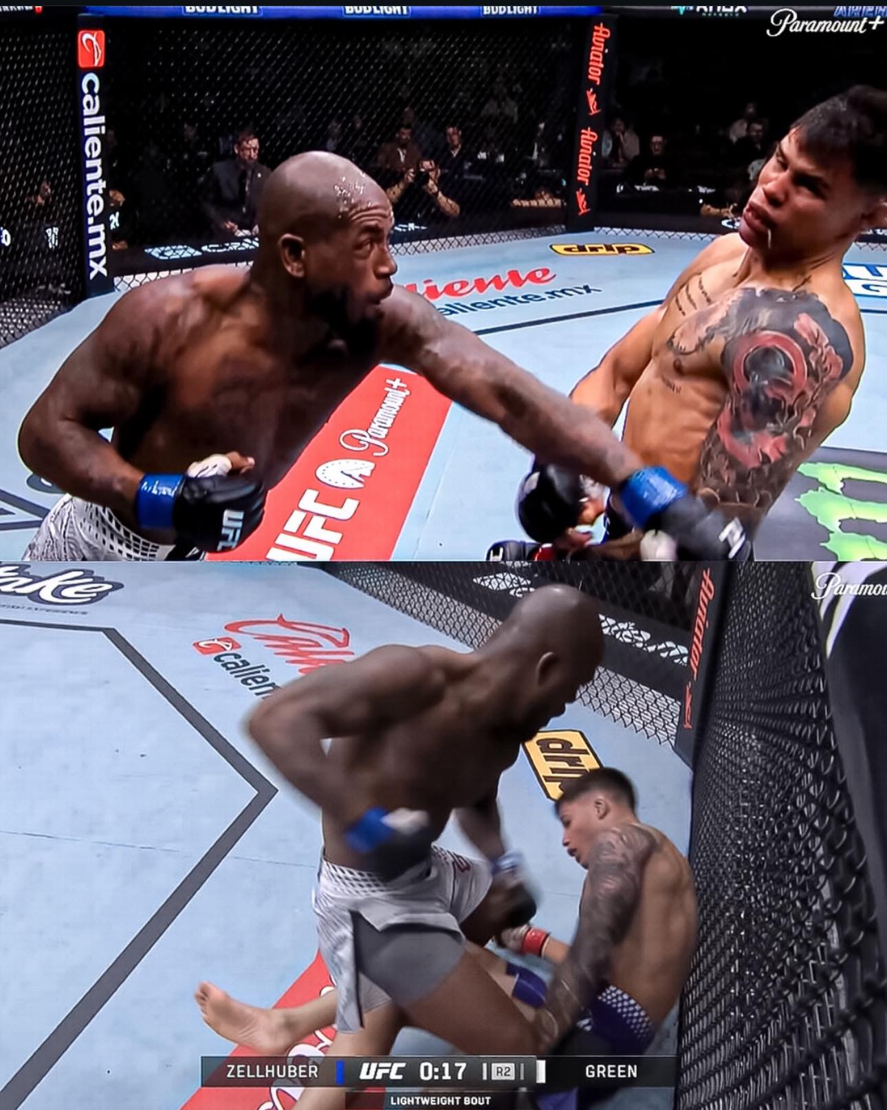 UFC Laboratory - King Green KOed Daniel Zellhuber trong R2... | Facebook