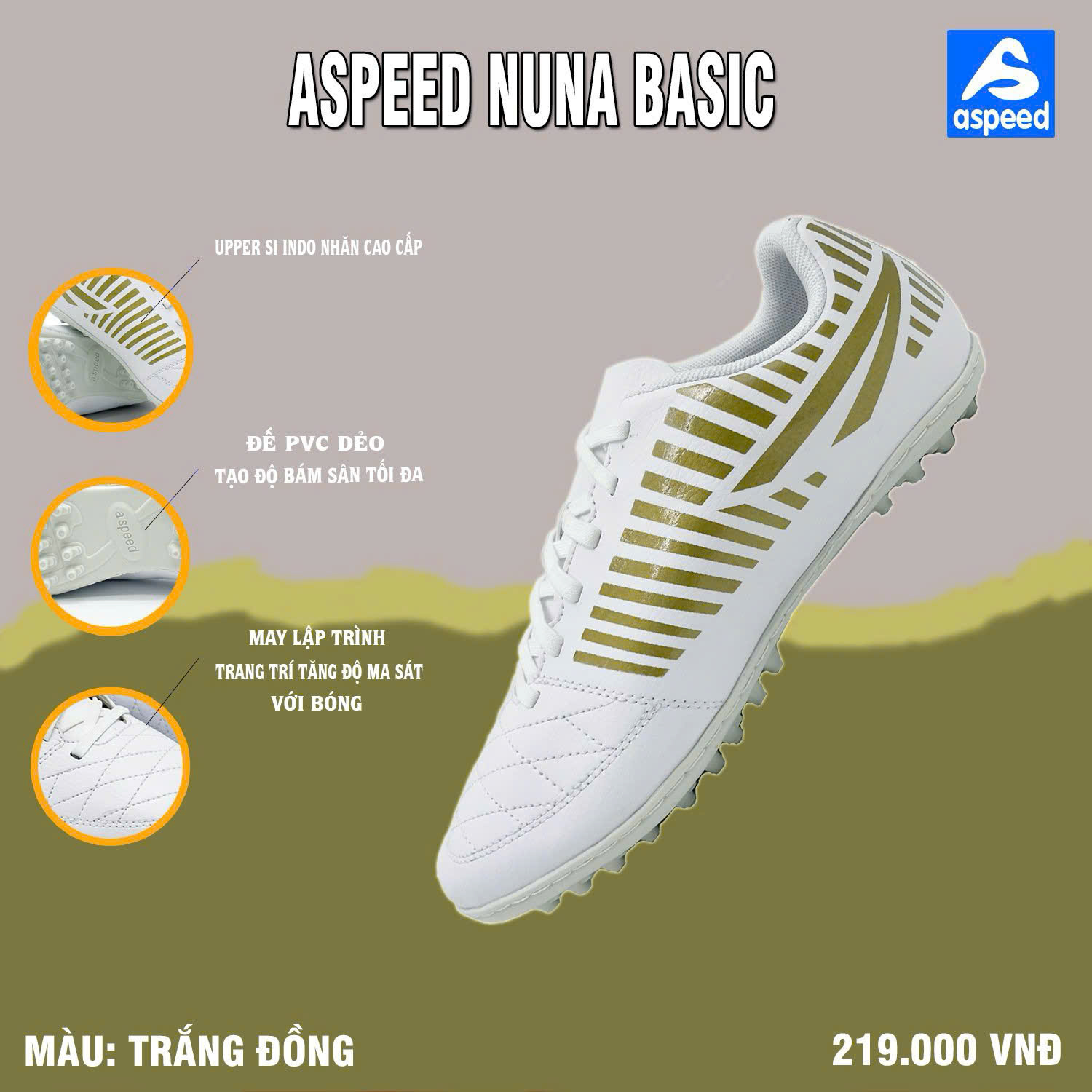 Thể Thao Aspeed Việt Nam | Hanoi
