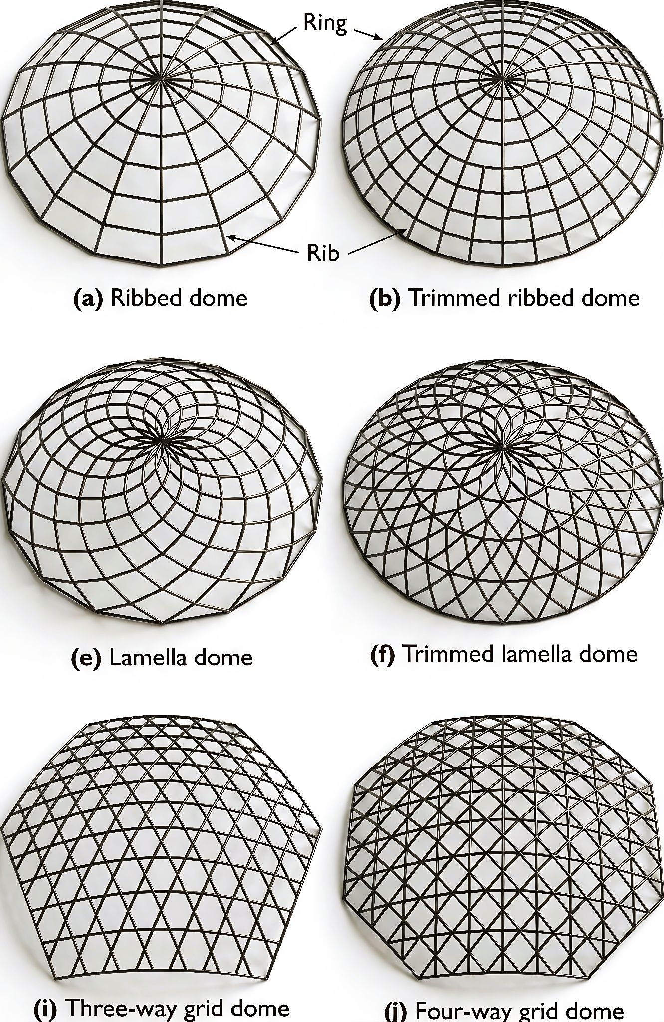 Dfaguimba - a comparative overview of different structural frameworks ...