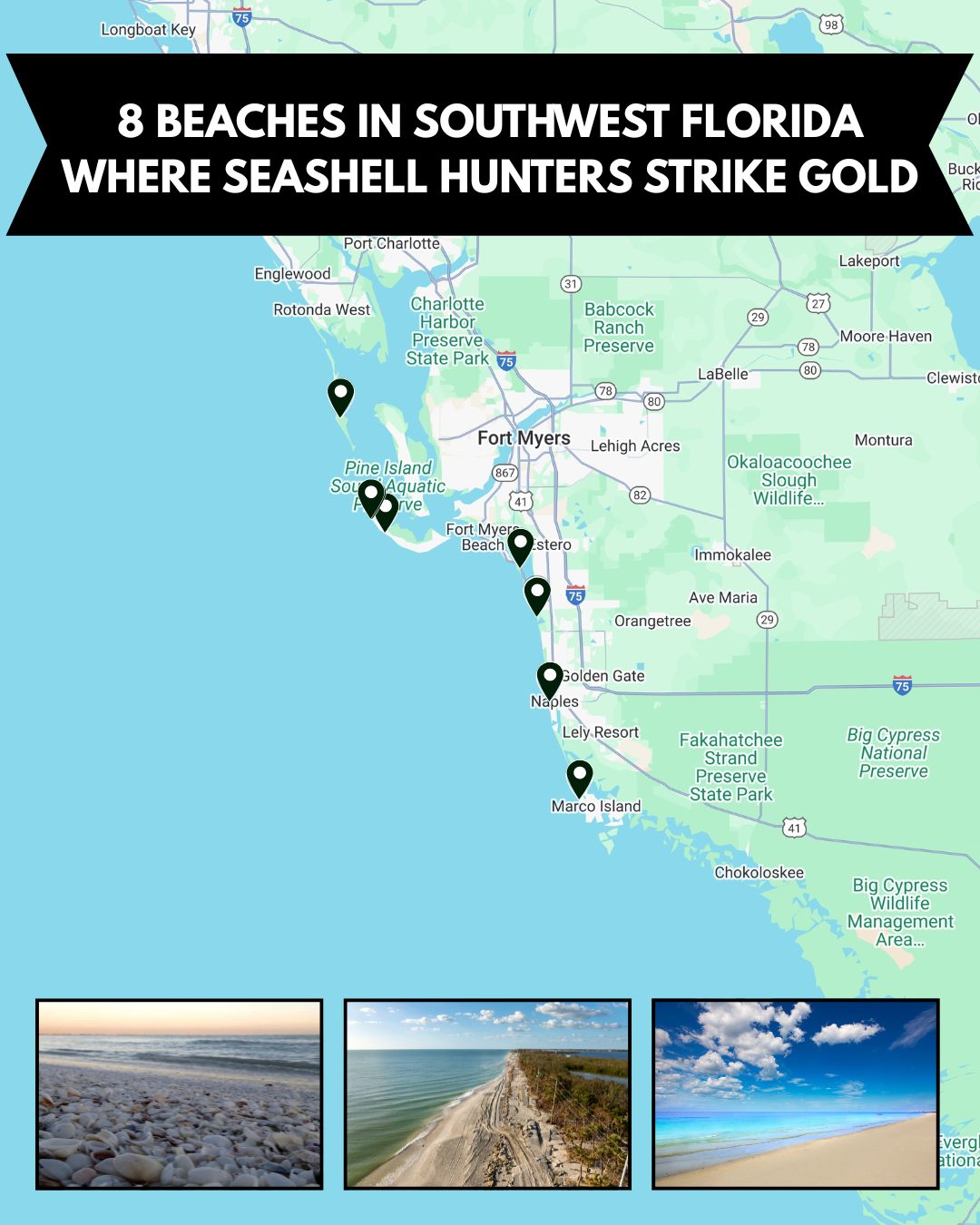 Florida - Shelling Spots Found > https://tripmemos.com/stunning-beaches ...