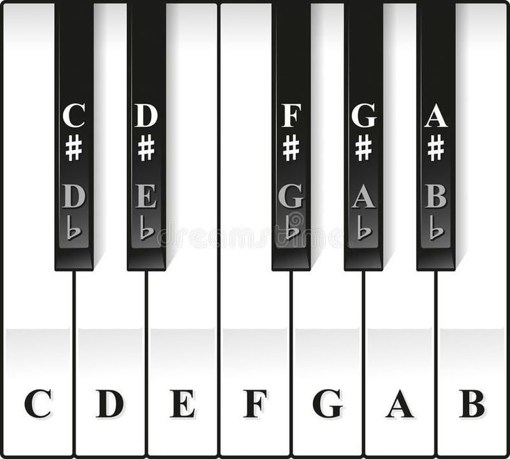 ♭♭♭ Sharps (#) and Flats (♭) 🎹 Now that you know the musical