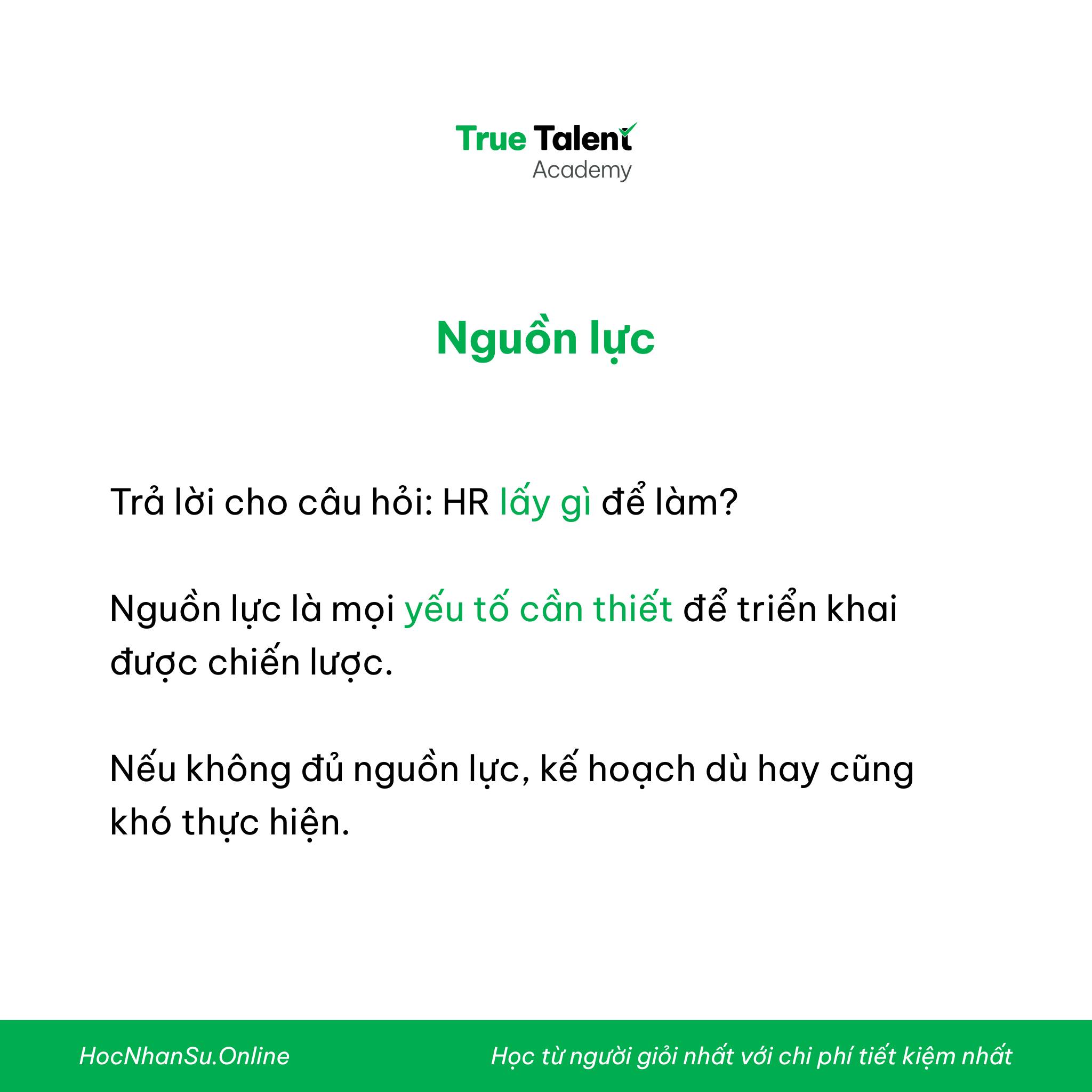 True Talent Academy