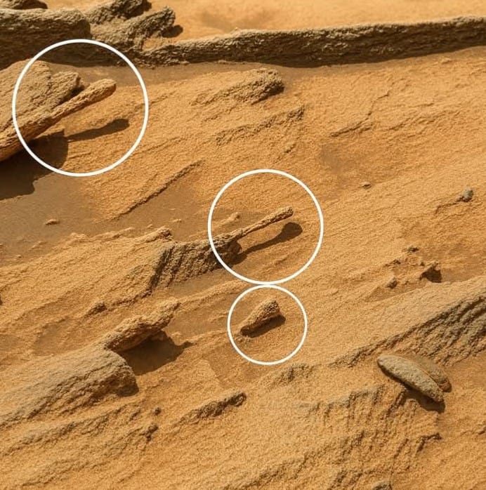 Som - Unusual Rocks on Mars That Look Like Sticks! These lengthy ...