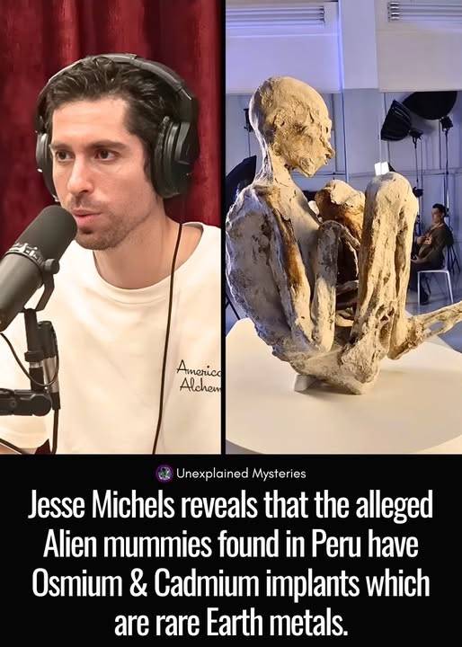 Zianra - Jesse Michels reveals that the alleged Alien mummies found in ...