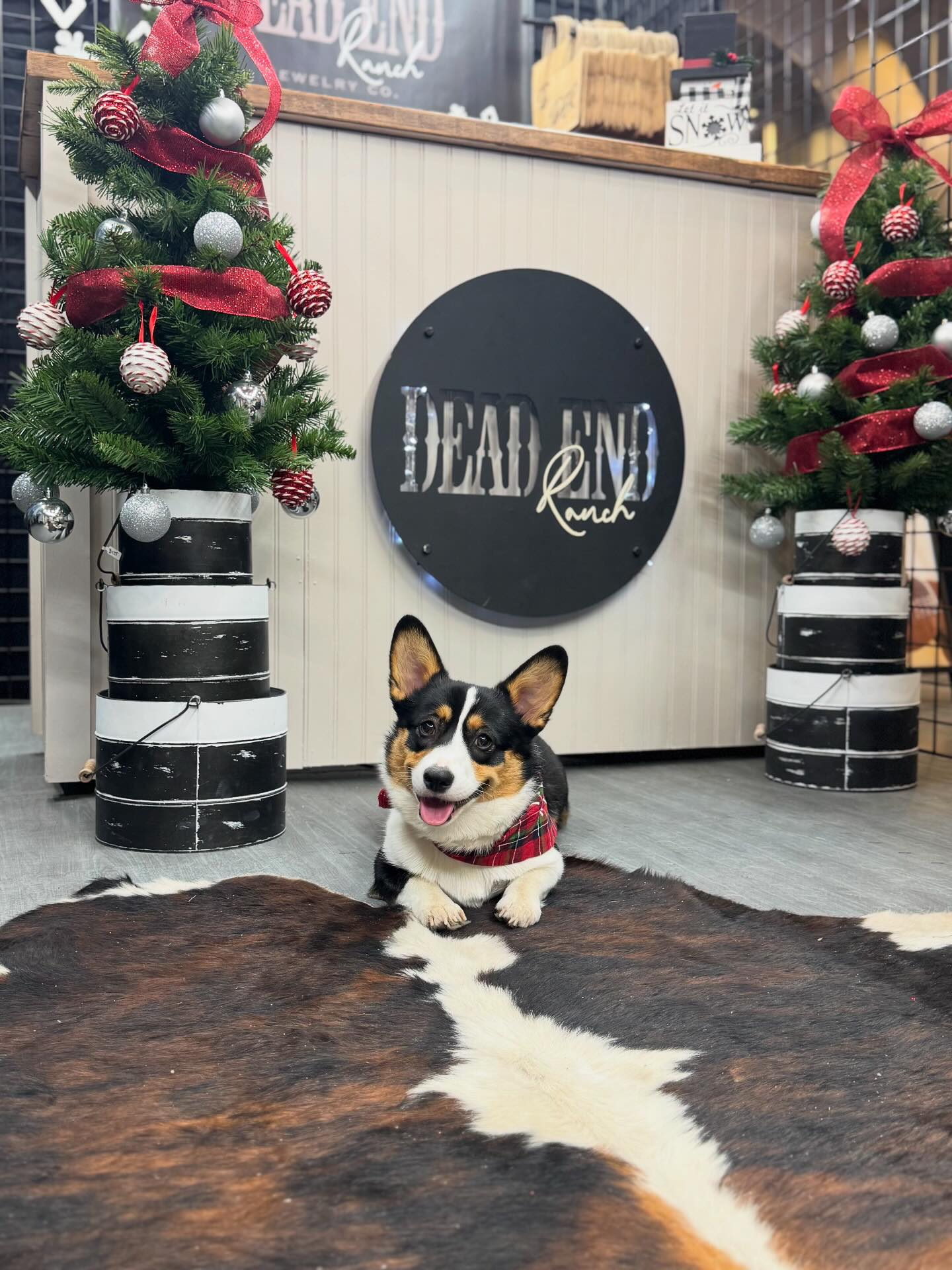 Dead End Ranch - Lucy’s ready to welcome y’all to the... | Facebook