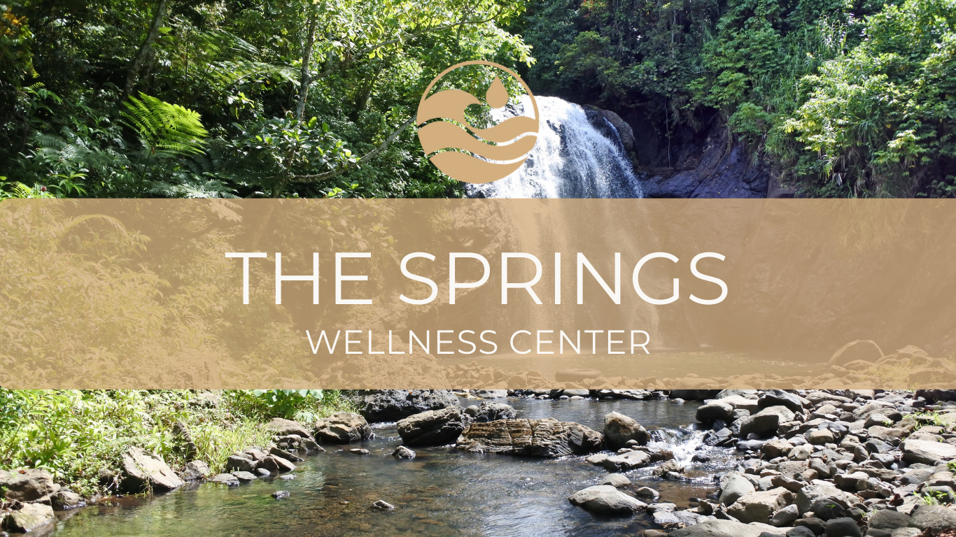 The Springs Wellness Center | Waconia MN