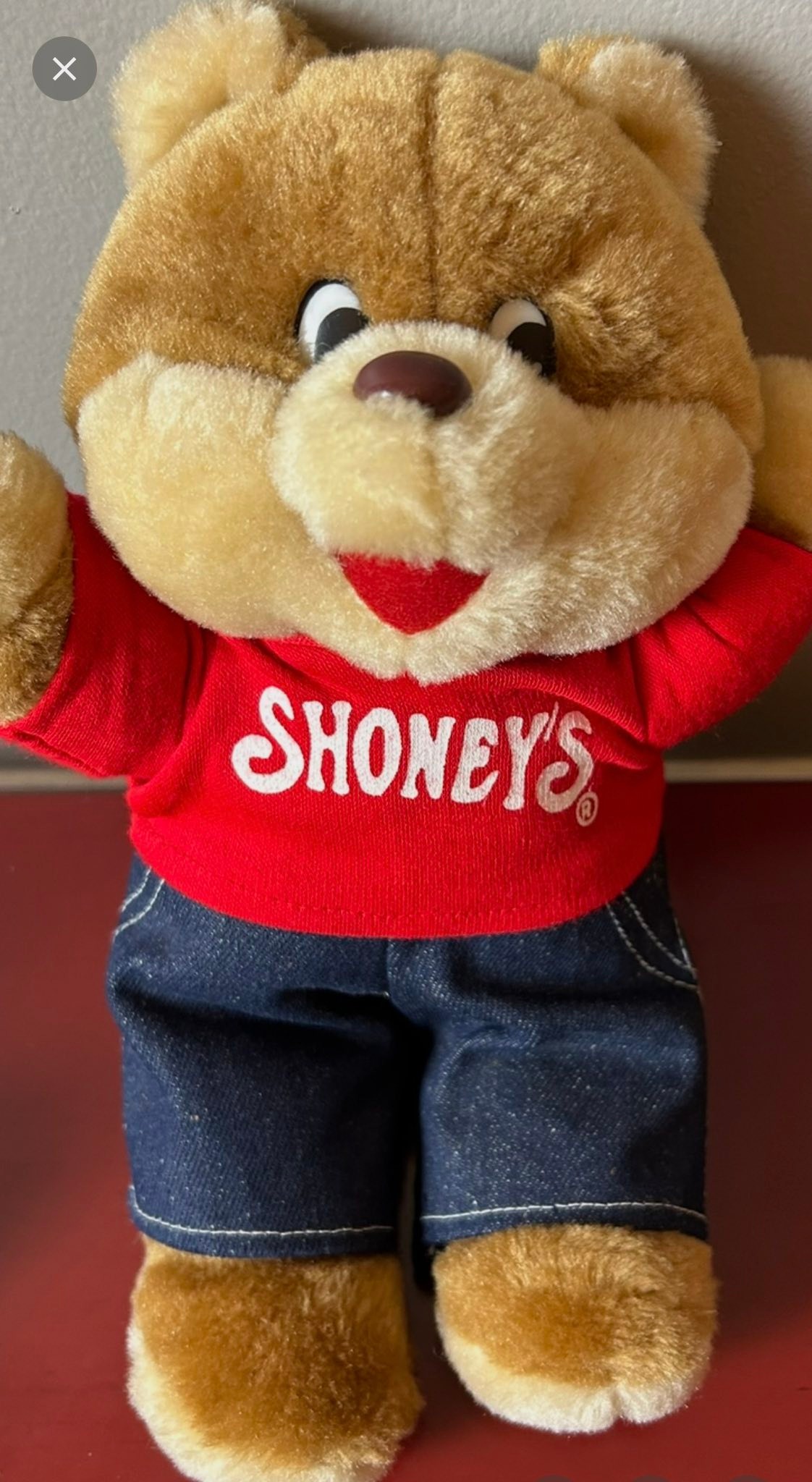 Our legendary Shoney Bear® plush is available to bring home with