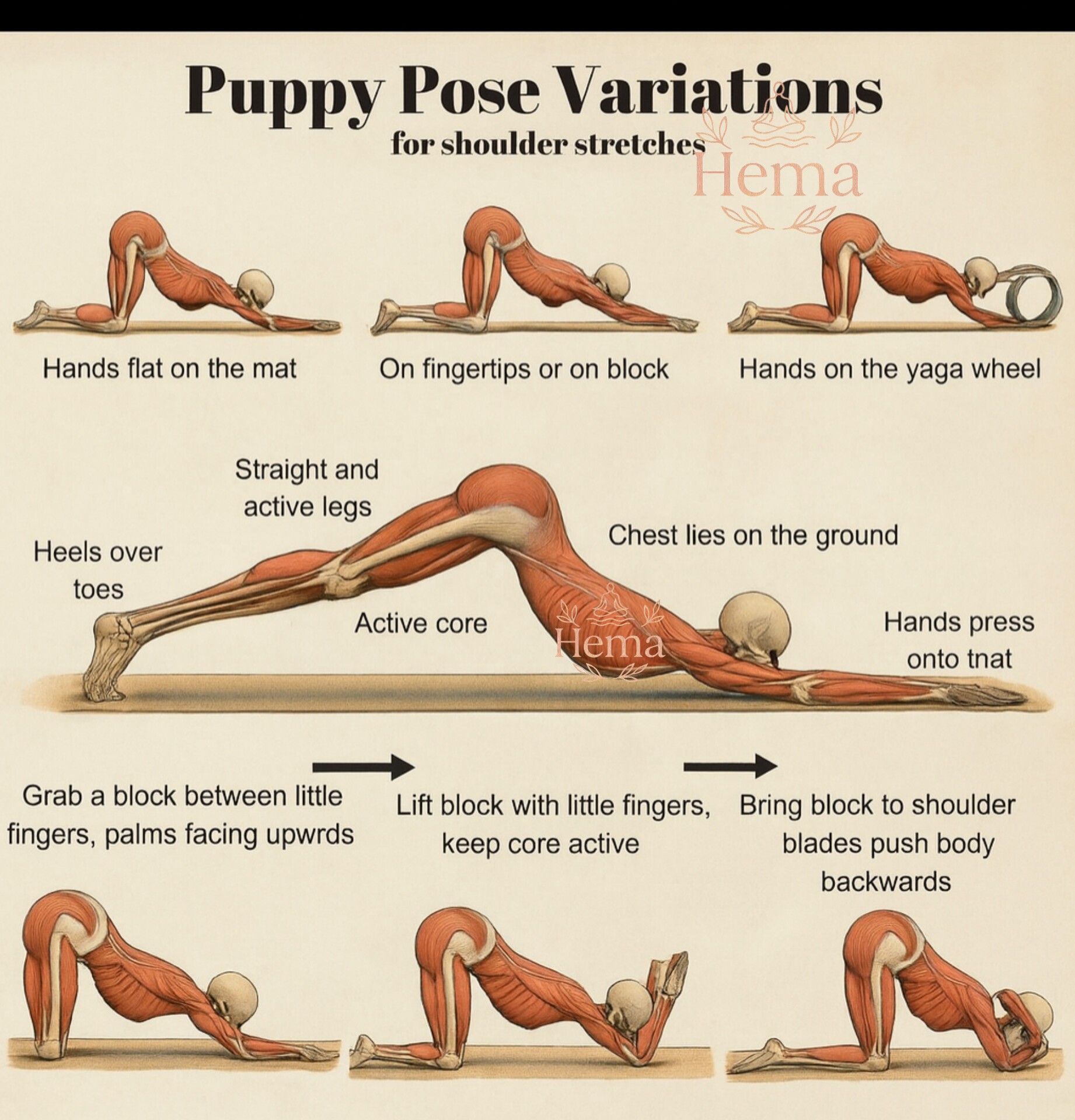 hema-here-are-the-benefits-of-puppy-pose-variations-uttana