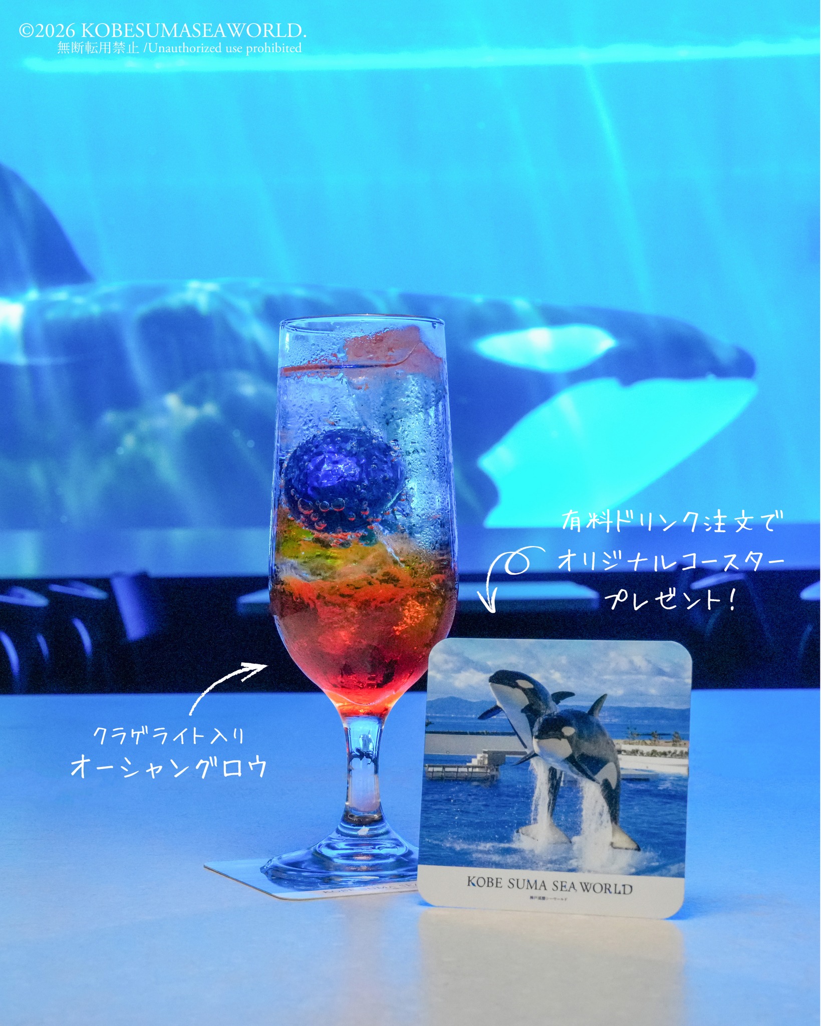 バレンタインの主役のチョコと #神戸須磨シーワールド の人気者シャチ
