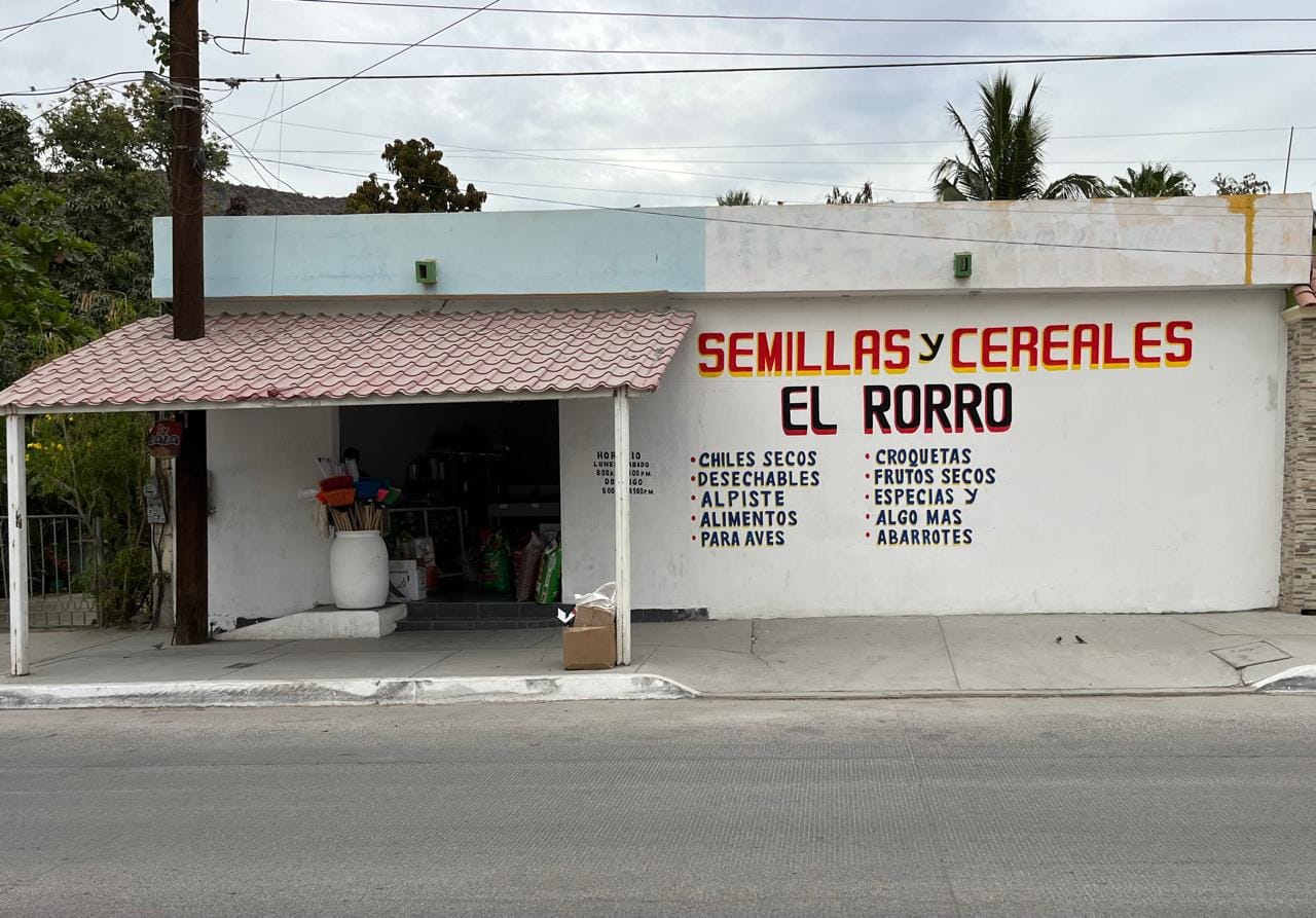 Semillas y Cereales 