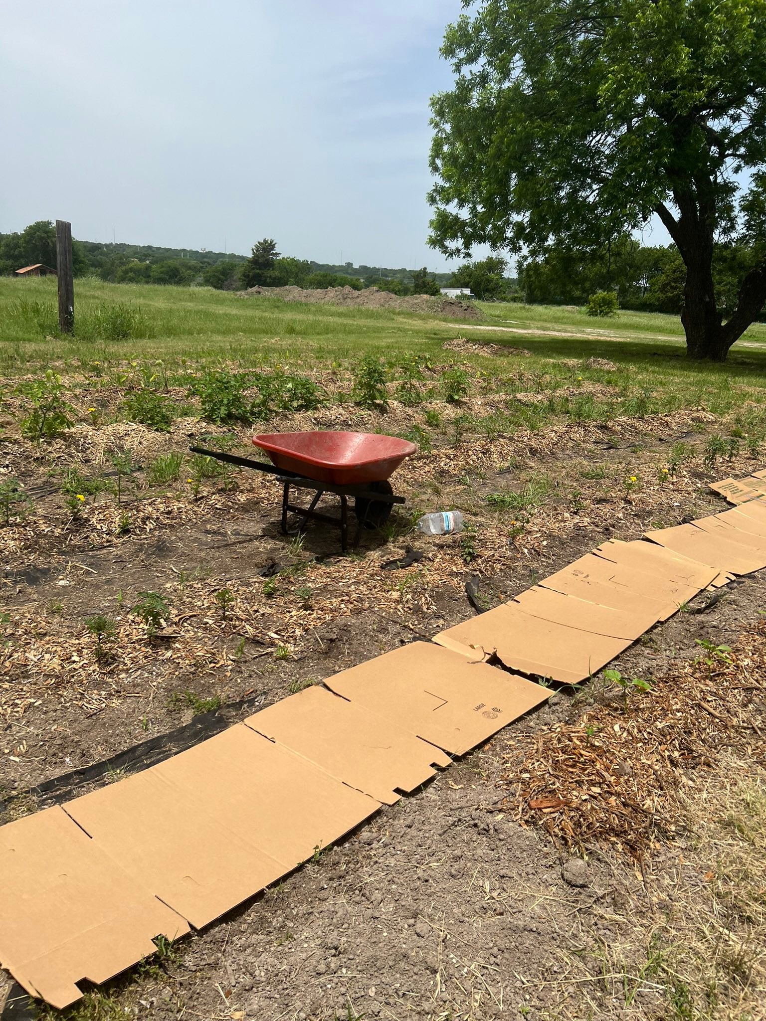 New Life Farms