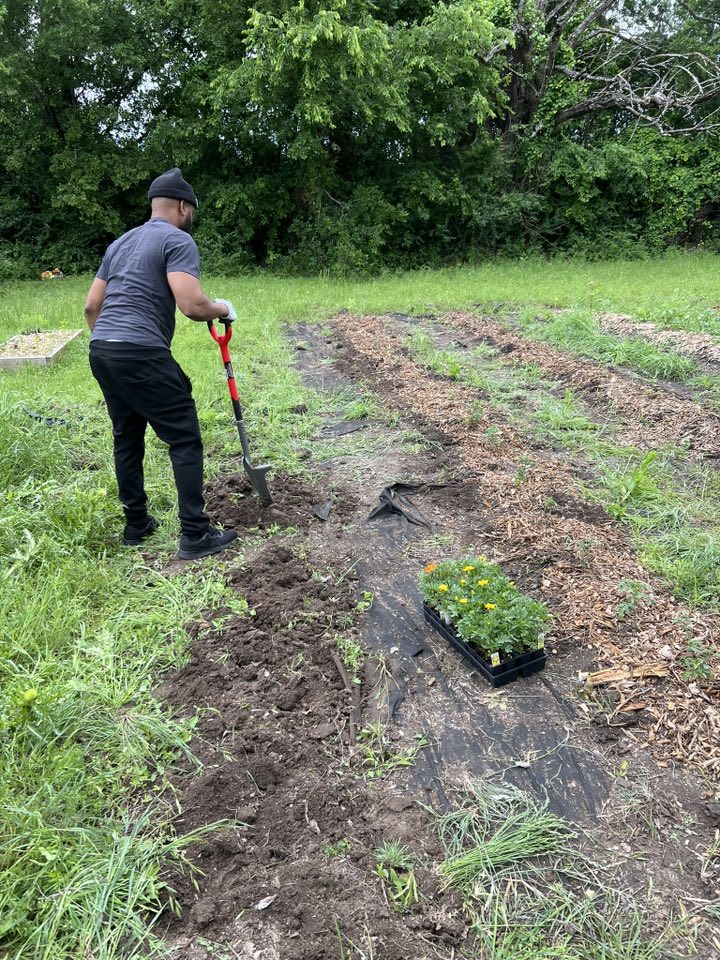 New Life Farms